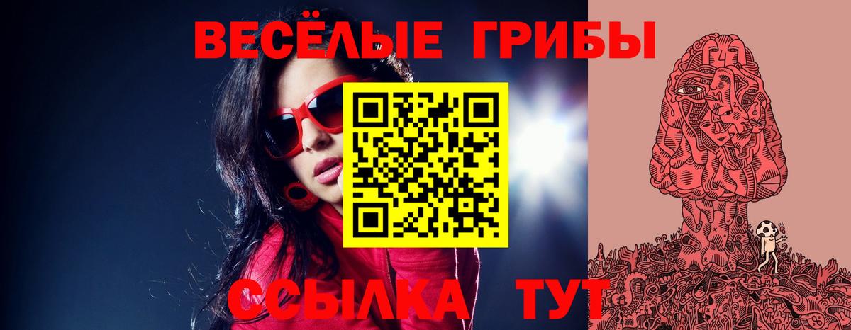 купить наркоту  Псилоцибиновые грибы мухоморы  Вход с VPN  Псилоцибиновые грибы Psilocybe  Тольятти 